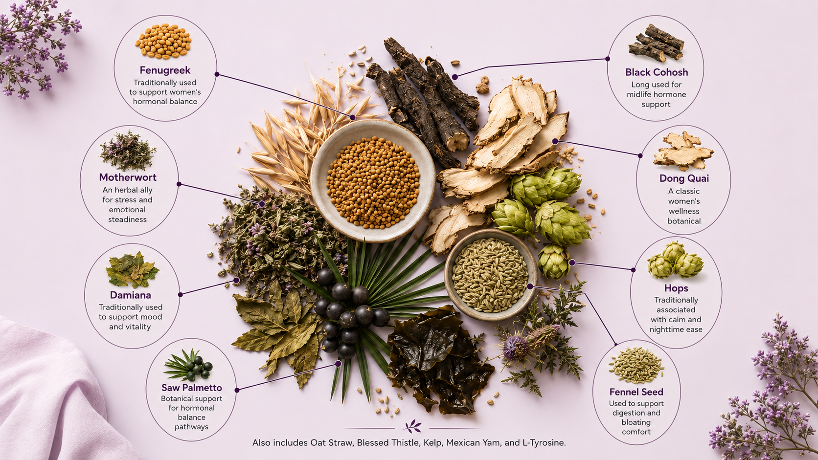 Cortisol rhythm + supportive botanicals illustration